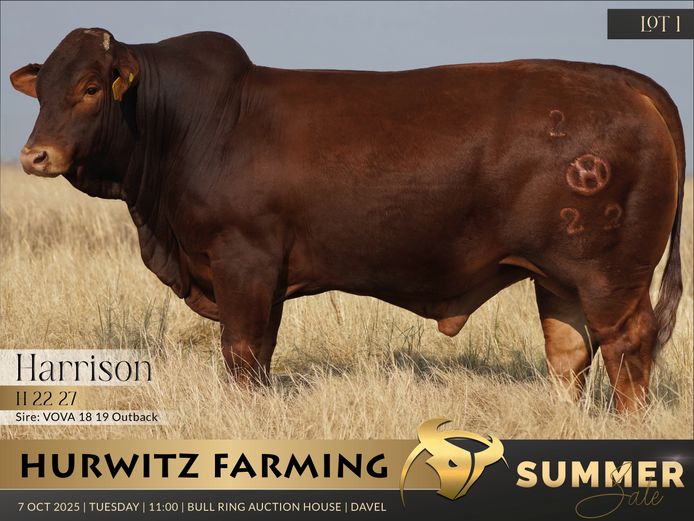 H   220027
