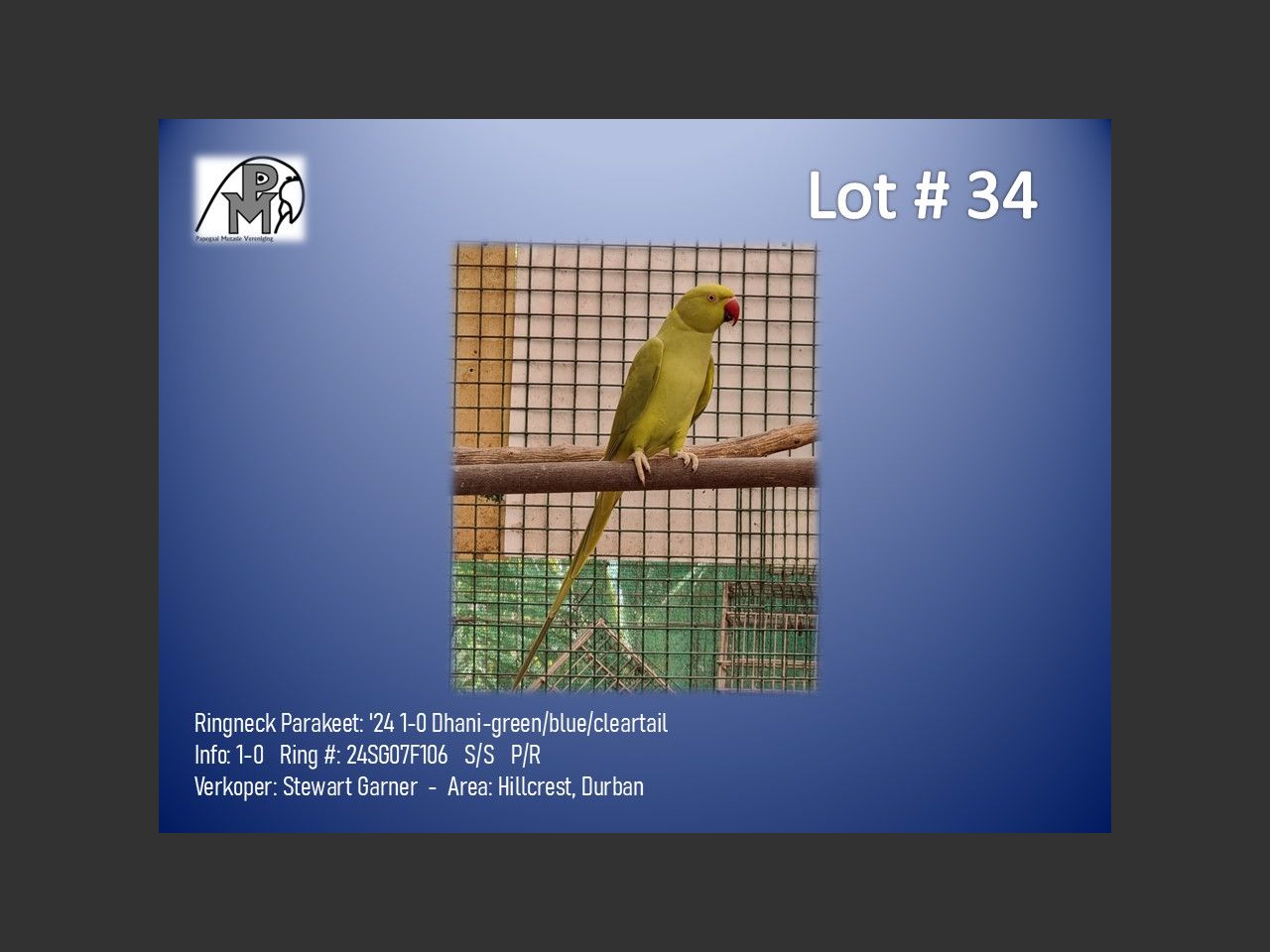 images