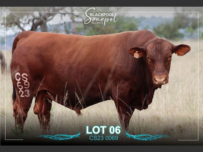 CS230069 | C.G. SHEARD