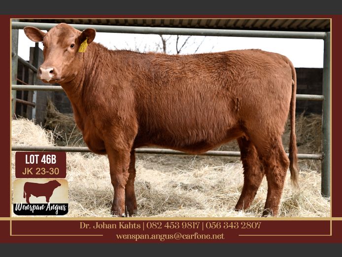 JK 230030 | J. KAHTS