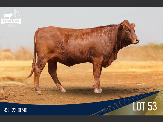 RSL 230090 | RASLOU BONSMARAS