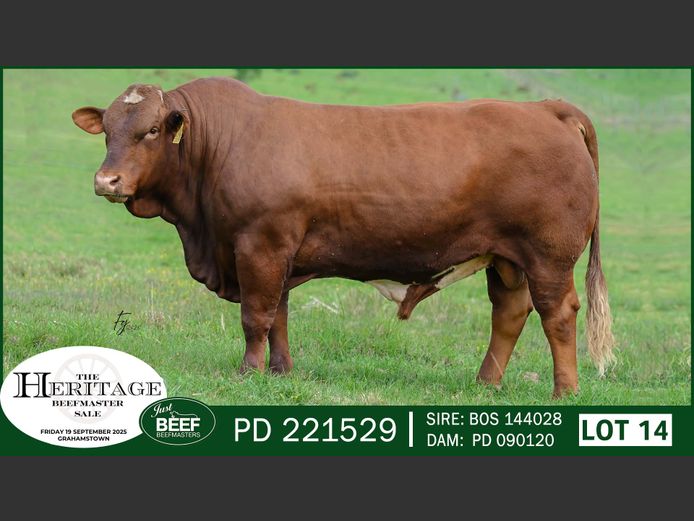 PD221529 | SUPER PRO DAIRY