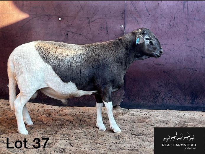 48 | Rea Farmstead
