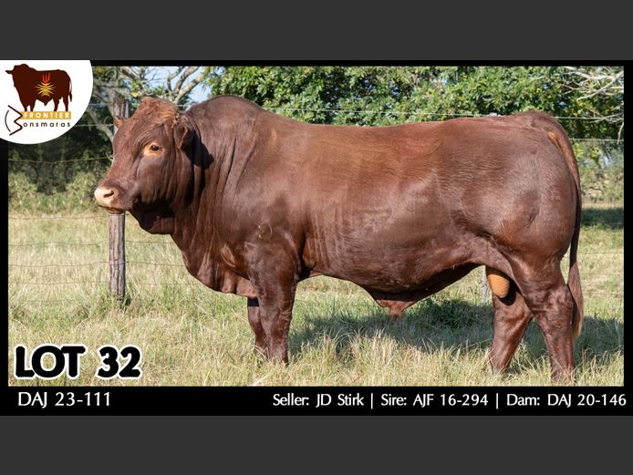 DAJ 230111 | J.D. STIRK