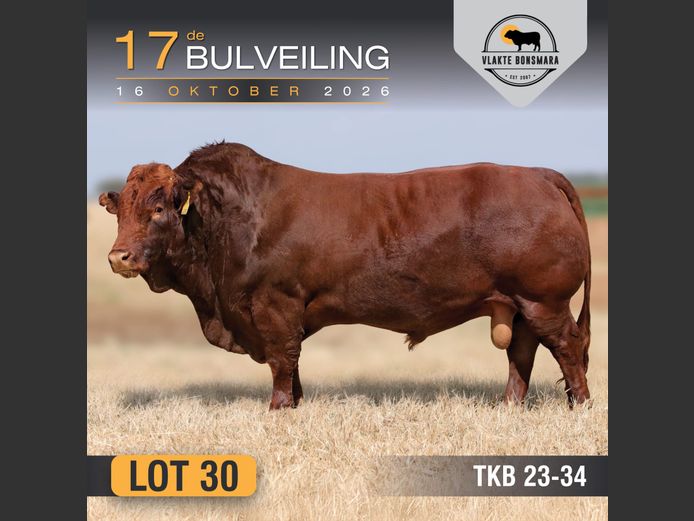 TKB230034 | TIAN KRUGER BOERDERY PTY LTD