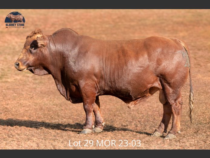 MOR 230003 | MOORE FARMING TRUST 