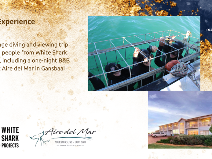 White Shark projects 