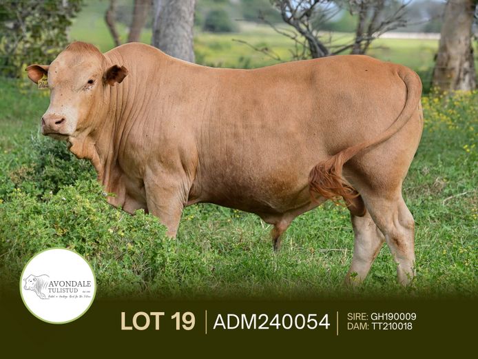 ADM240054 | A.D. MULLINS