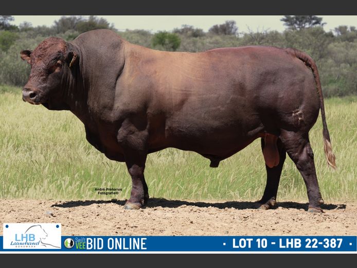 LHB 220387 | LEEUHEUWEL BOERDERY (EDMS) BPK