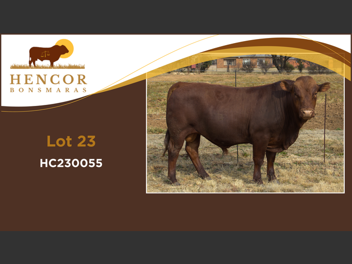 HC  230055 | HENCOR BOERDERY