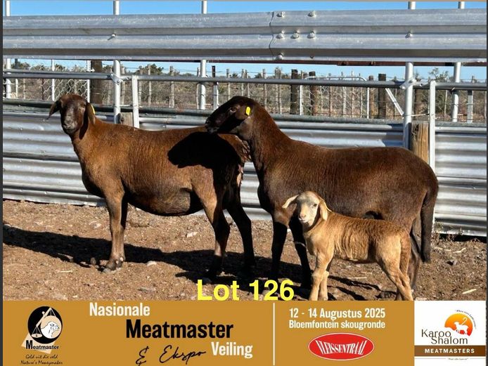 24 7 | Jacques Strydom - Karoo Shalom Meatmasters