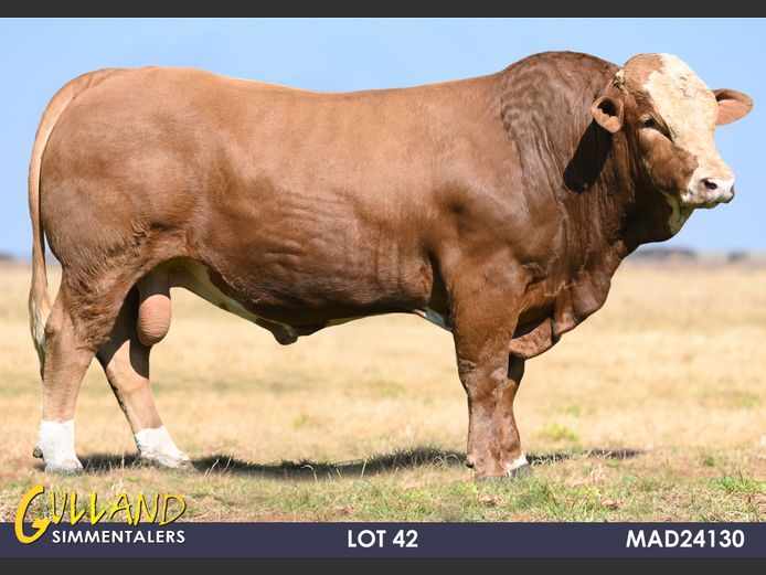 MAD24130 | MG DE JAGER
