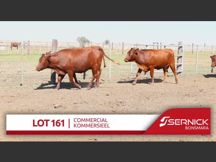 Commercial Animals