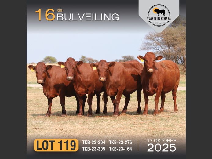 Commercial Animals | TKB BONSMARAS