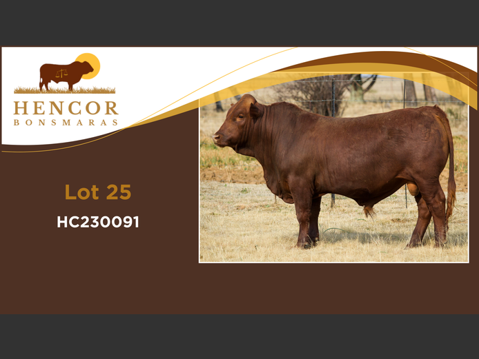 HC  230091 | HENCOR BOERDERY