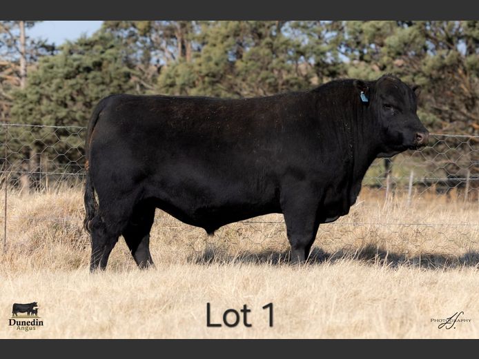 KCM 230116 | TABLE HILL FARMING PTY LTD