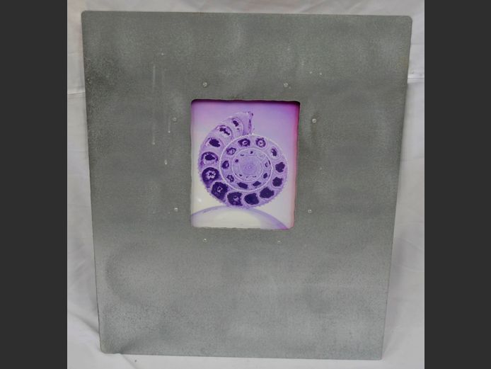 GALVANISED FRAMED PRINT "SEASHELL", 22 x 17cm