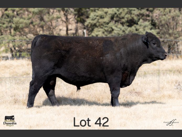 KCM 230165 | TABLE HILL FARMING PTY LTD