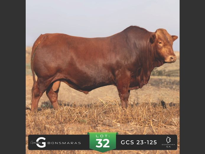 GCS 230125 | G.C. STANFORD