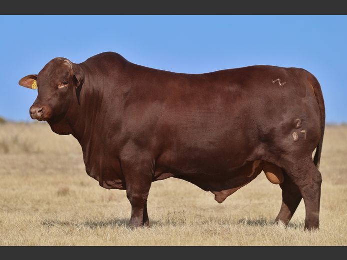 VV  220097 | T. DE JAGER