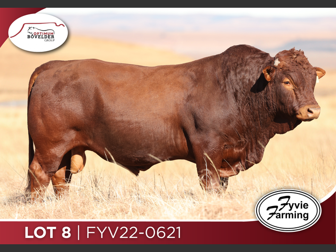 FYV22-0621