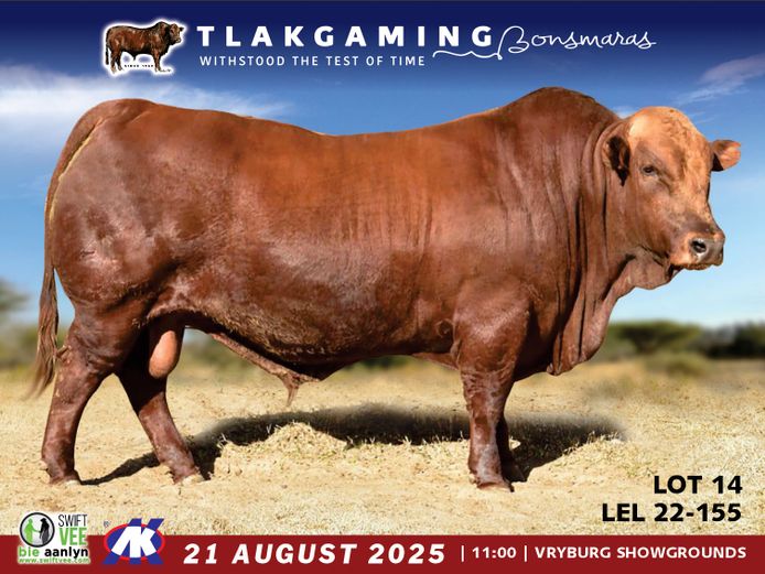 LEL220155 | LEE & SON