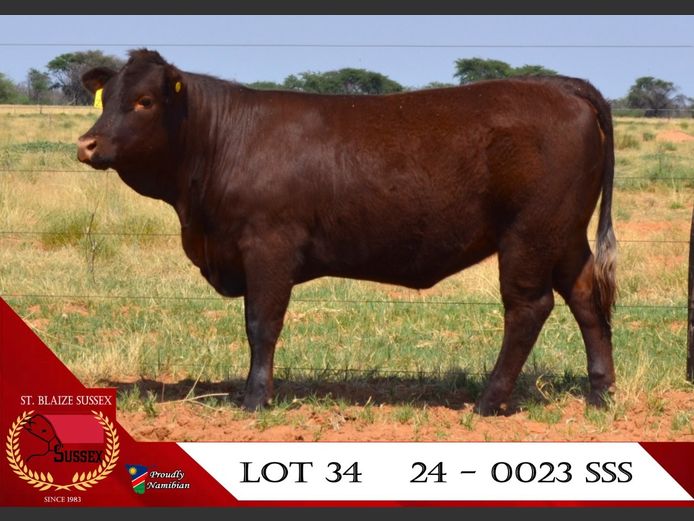 24-0023SSS | ST. BLAIZE SUSSEX