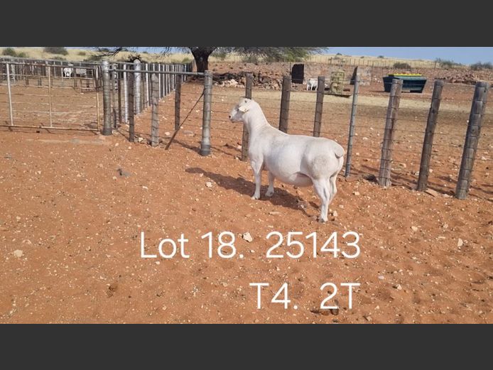 916250143W | R.J. CAHI & SON CC