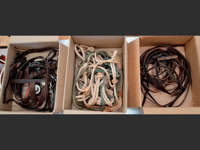 LOT: BRIDLES & REINS