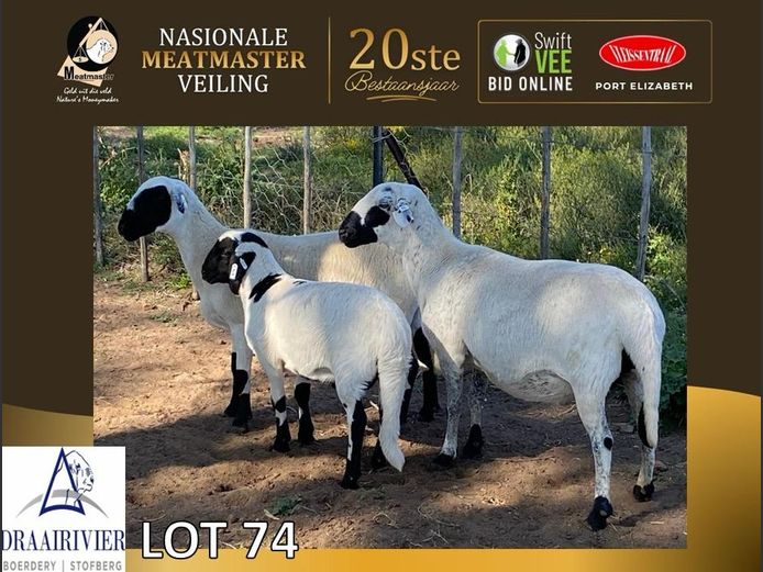 NS 2999 | Draairivier Boerdery