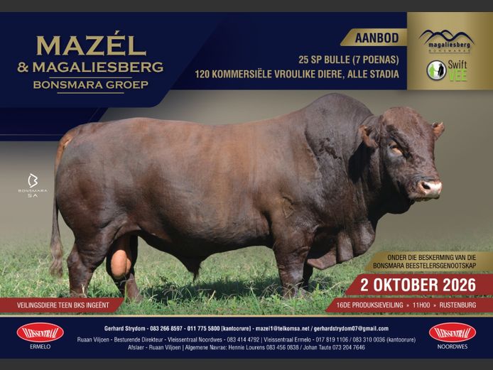 MAZEL & MAGALIESBERG BONSMARA GROEP 16DE PRODUKSIEVEILING