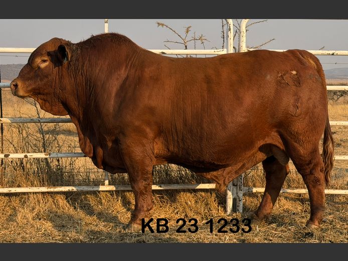 KB231233