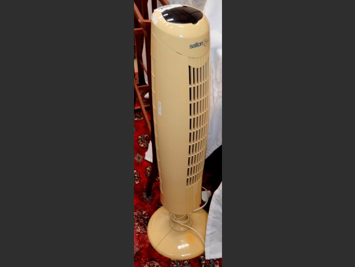 SALTON ELITE PEDESTAL FAN [Switches on, untested further]