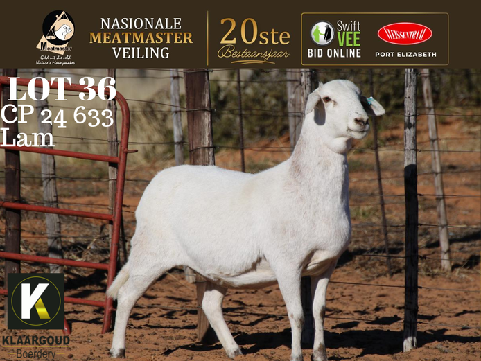 CP 24 633 | Klaargoud Boerdery