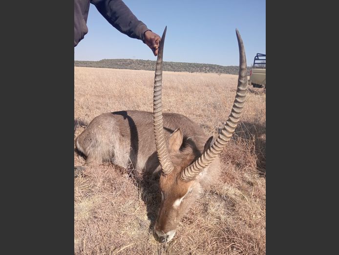 WATERBOK | AMANZI PRIVATE GAME RESERVE