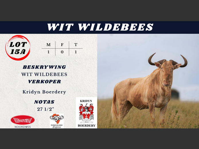 WIT WILDEBEES