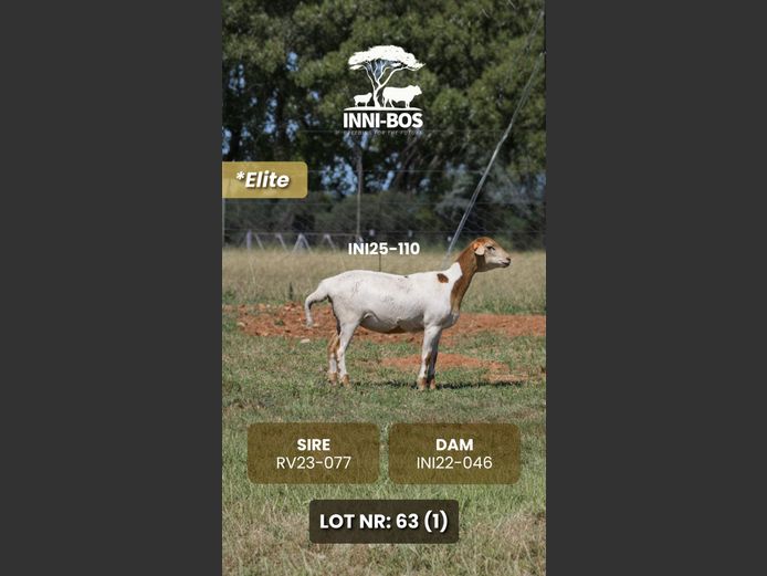 INI25-110 *Elite