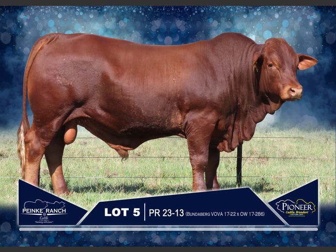 PR 230013 | PEINKE RANCH