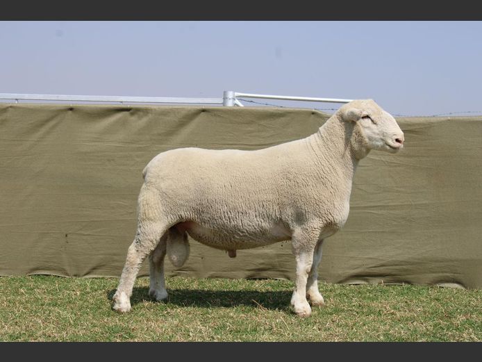 CVM 240063 | KALKVLEY DORMERS