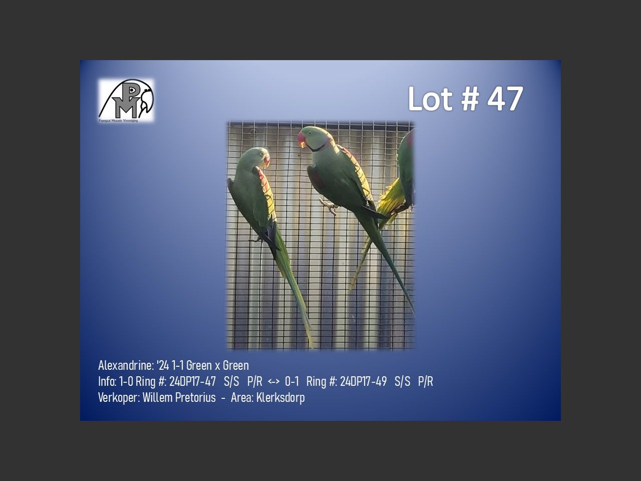 images