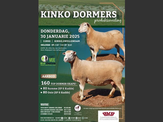 KINKO DORMERS PRODUKSIEVEILING