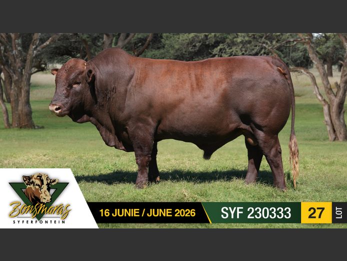 SYF230333 | SYFERFONTEIN BOERDERY