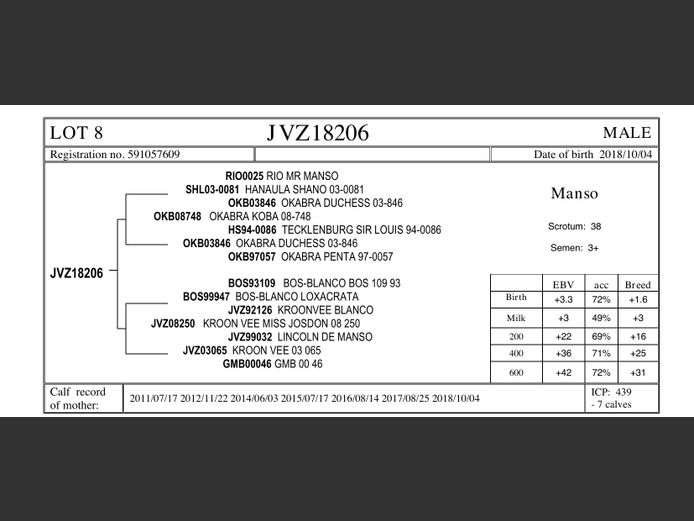 JVZ18-206