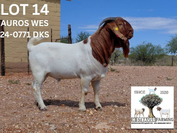 24-0771DKS | H STRAUSS FARMING