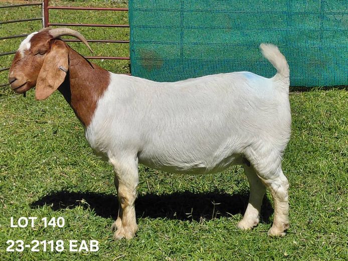 23-2118 EAB | EAB van Niekerk
