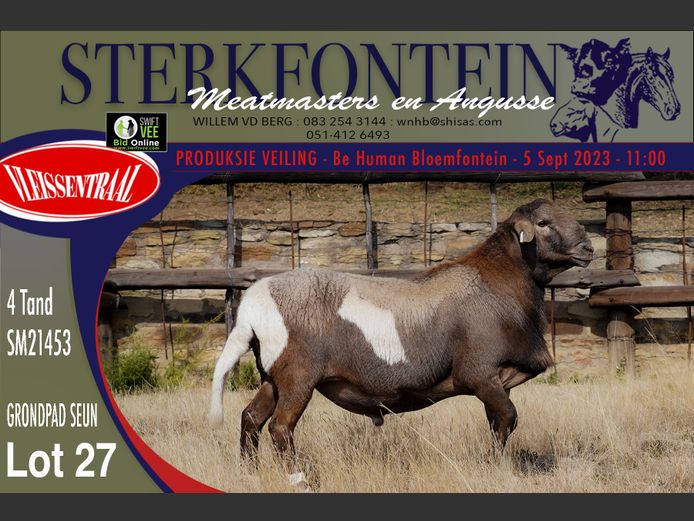 SM 21 453 | Sterkfontein Meatmasters