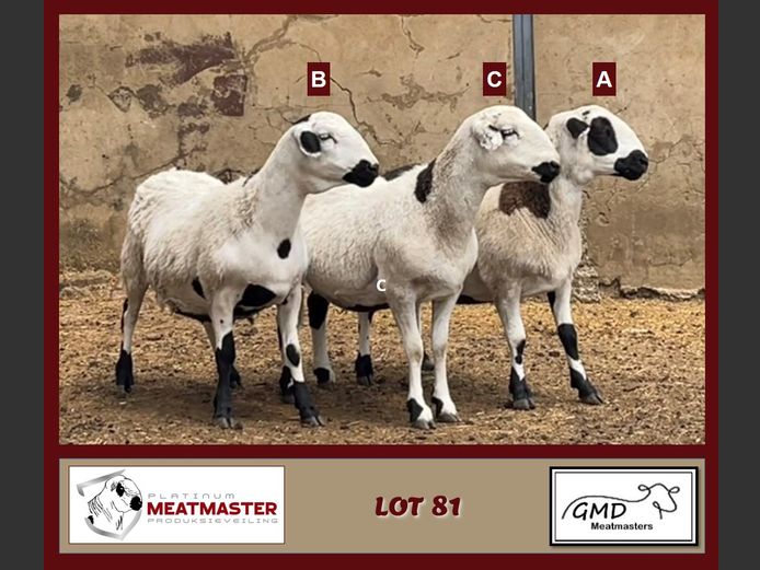 GMD23-3014 | Mike Greyling - GMD Meatmasters, Morgenzon