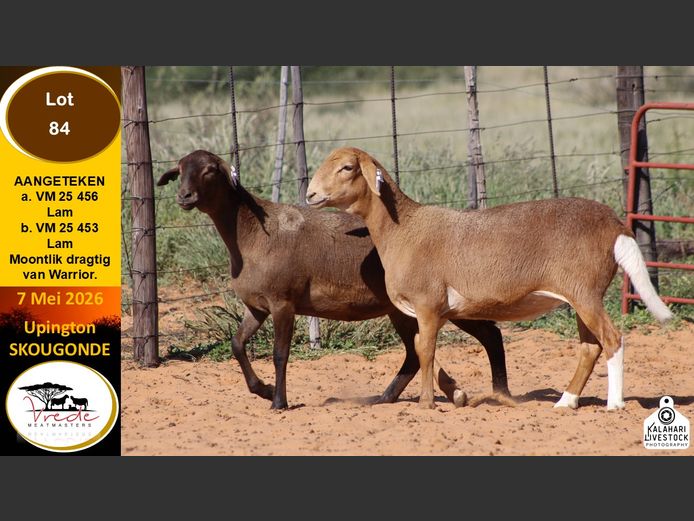 VM 25 453 | VREDE MEATMASTERS