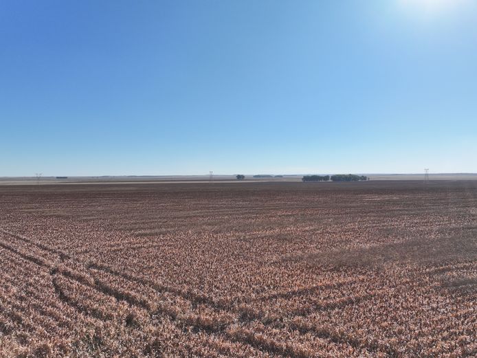 Farm 583 Jacobus , Farm 1212 Katies Rust, Farm 1583 Uitvlugt and Re Of Farm 247 Welgenoeg Reg Div Heilbron RD