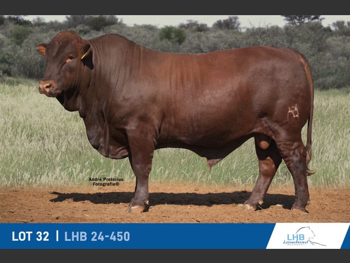LHB240450 | LEEUHEUWEL BOERDERY (EDMS) BPK